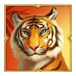 Icon 1 Tiger Tiger Wild Life