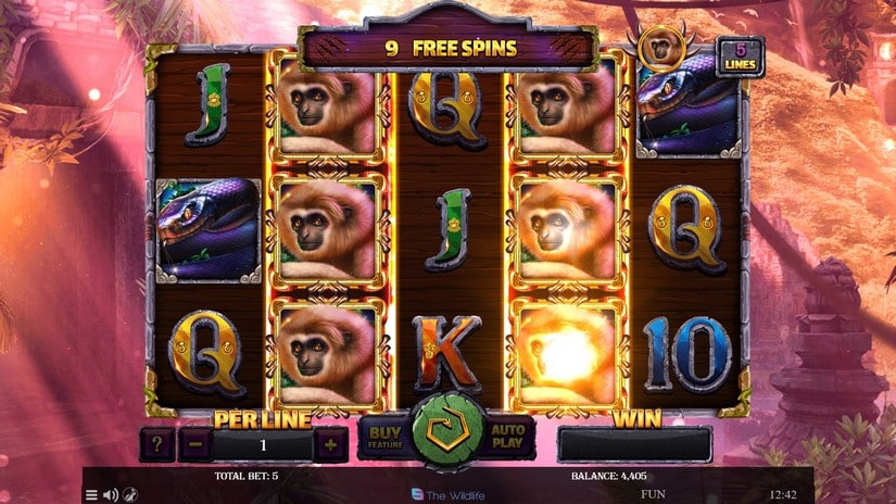 Book Of Panther Wild Dawn slot screen 5