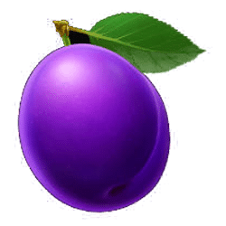 Icon 10 Burning Slots Cash Mesh