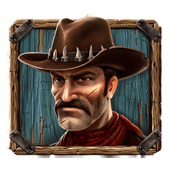 Icon 1 Van Der Wilde and the Outlaws