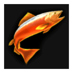 Icon 2 Amazing Catch Power Combo