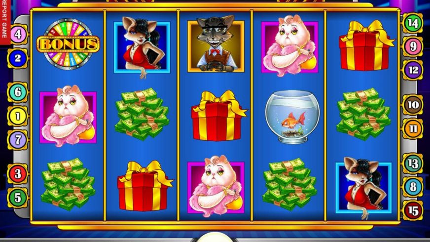 Cats and Cash slot screen 2