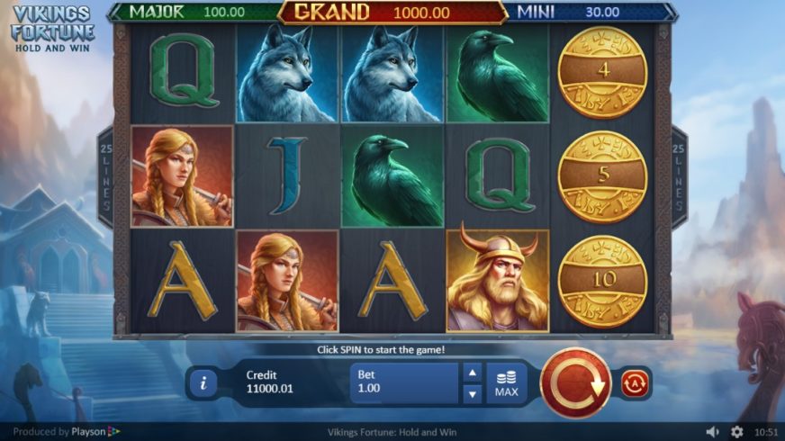 Vikings Fortune: Hold and Win slot screen 1