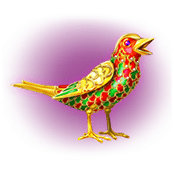 Icon 7 Casanovas Ladies