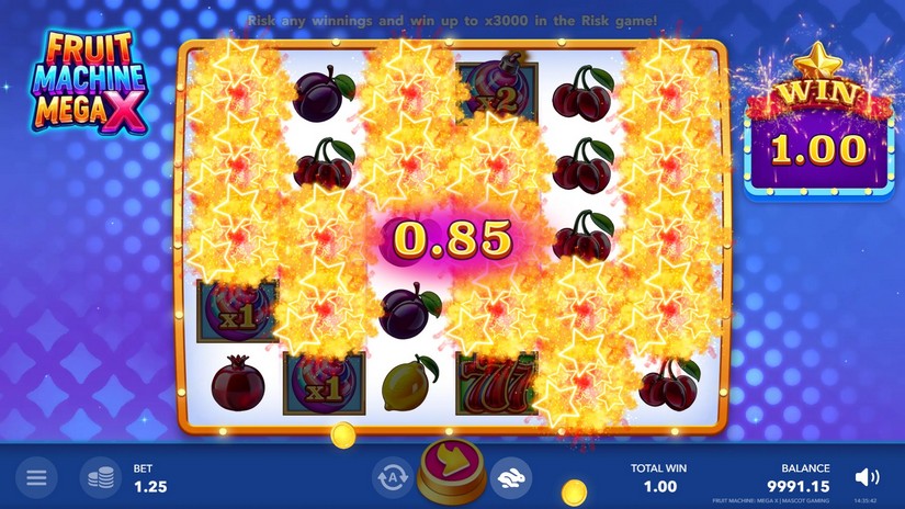 Fruit Machine: Mega X slot screen 4