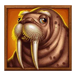 Icon 3 Polar Bonanza