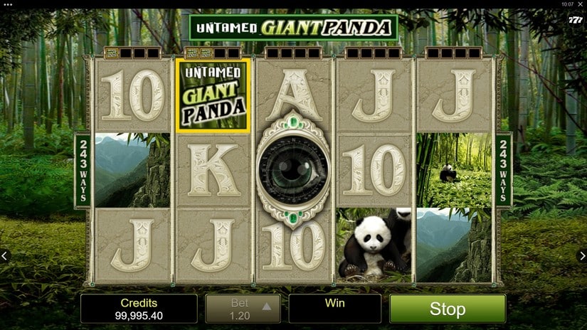 Untamed – Giant Panda slot screen 2