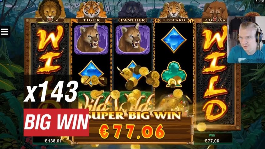 Exotic Cats slot screen 6