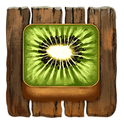 Icon 8 Tiki Runner 2 DoubleMax