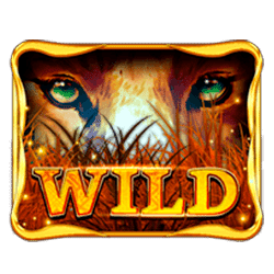 Wild Symbol of African Luck Slot