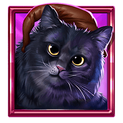 Icon 5 Book Of Enchantments