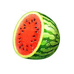 Icon 4 Fruits & Clovers 20 lines