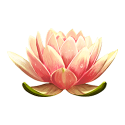 Icon 4 Dragon’s Luck Deluxe