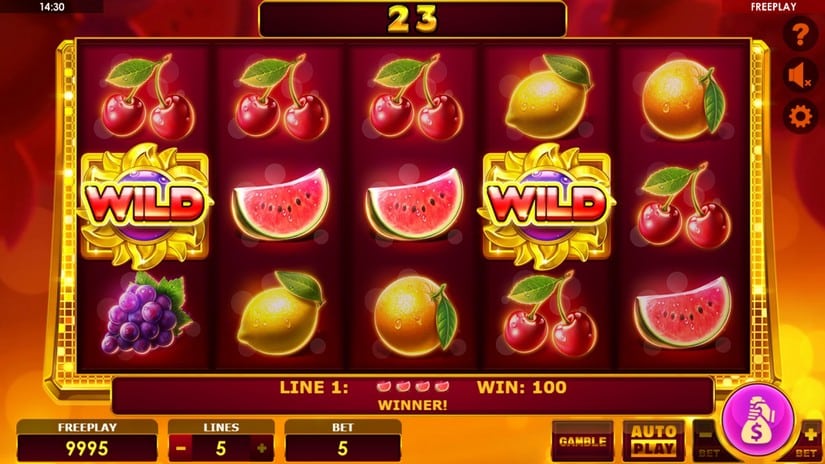 Book of Fruits slot screen 2