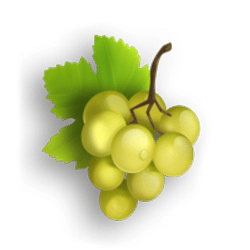 Icon 4 Spinjoy Society Megaways