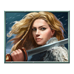 Icon 3 Vikings Winter