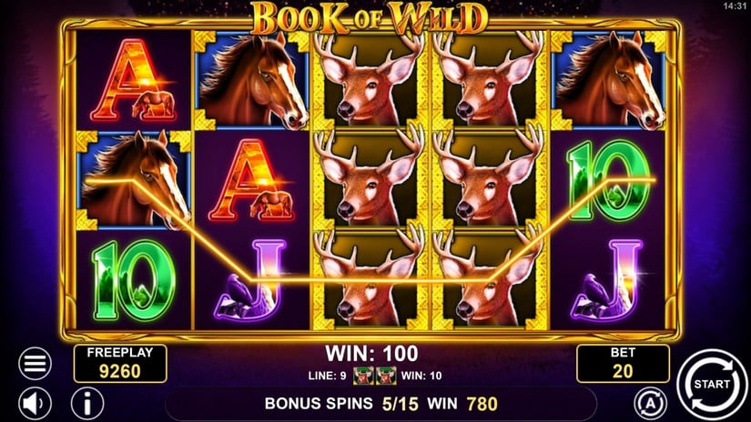 Book of Wild slot screen 5