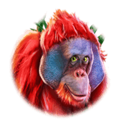 Icon 4 King Koko’s Quest