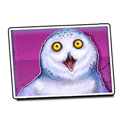 Icon 2 Dumb and Dumber Route to Riches