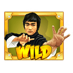Wild Symbol of Wild Fight Slot