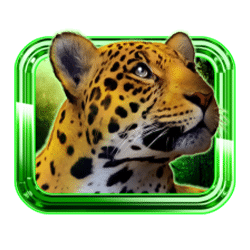 Icon 3 Aztec Temple Treasures