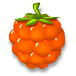 Icon 4 Bear’s Tricks