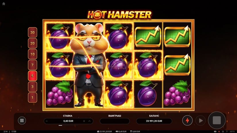 Hot Hamster Slot slot screen 3