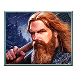 Icon 2 Vikings Winter