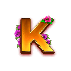 Icon 8 Winfall in Paradise