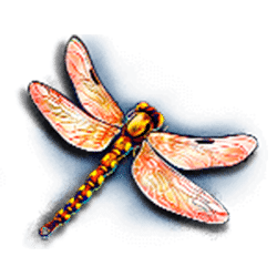 Icon 6 Dragon’s Element