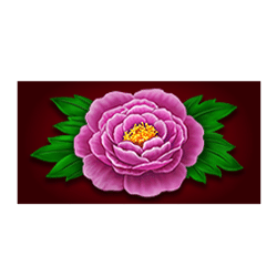 Icon 6 Beauty Warrior