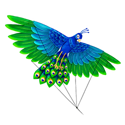 Icon 2 Floating Dragon Hold and Spin