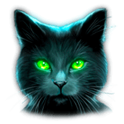 Icon 4 Raven’s Reveal