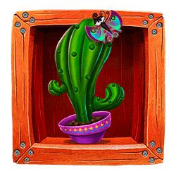 Icon 6 Tequila Fiesta