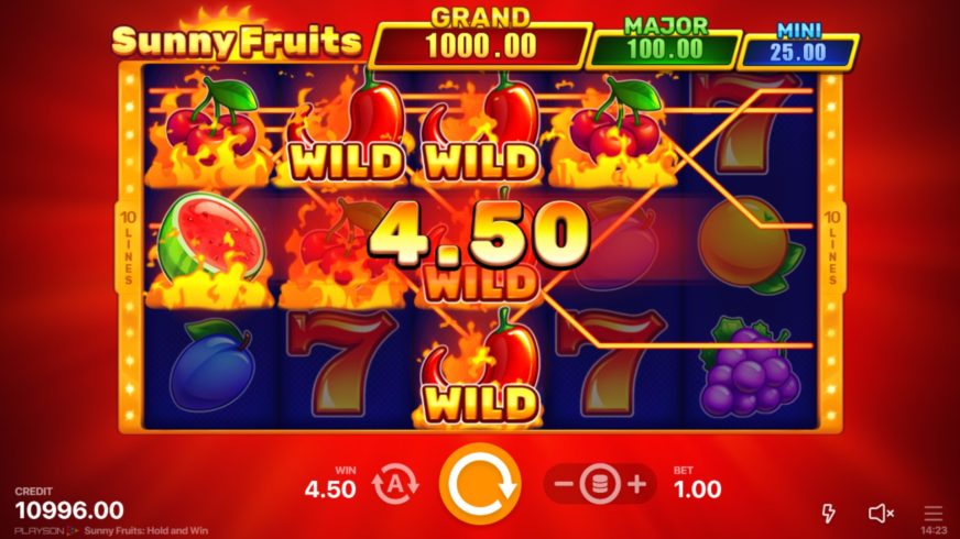 Sunny Fruits: Hold and Win slot screen 2