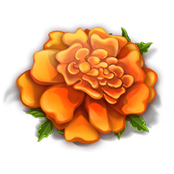 Icon 4 Super Sombrero