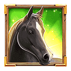 Icon 6 Golden Stallion