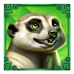 Icon 6 Wild White Rhino