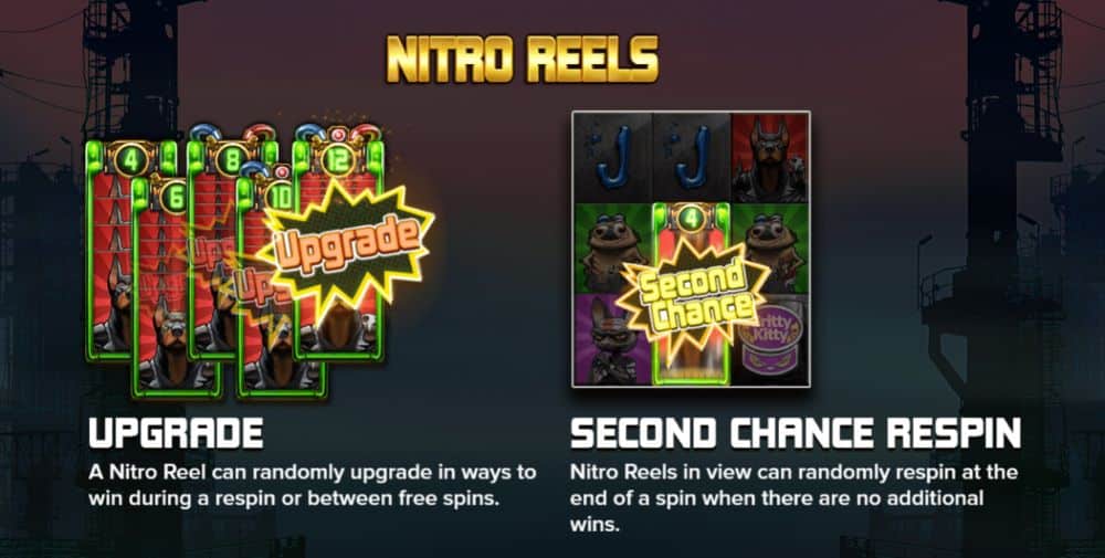 Nitropolis Nitro Reels