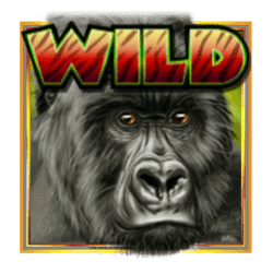 Wild Symbol of Big Thunder Slot