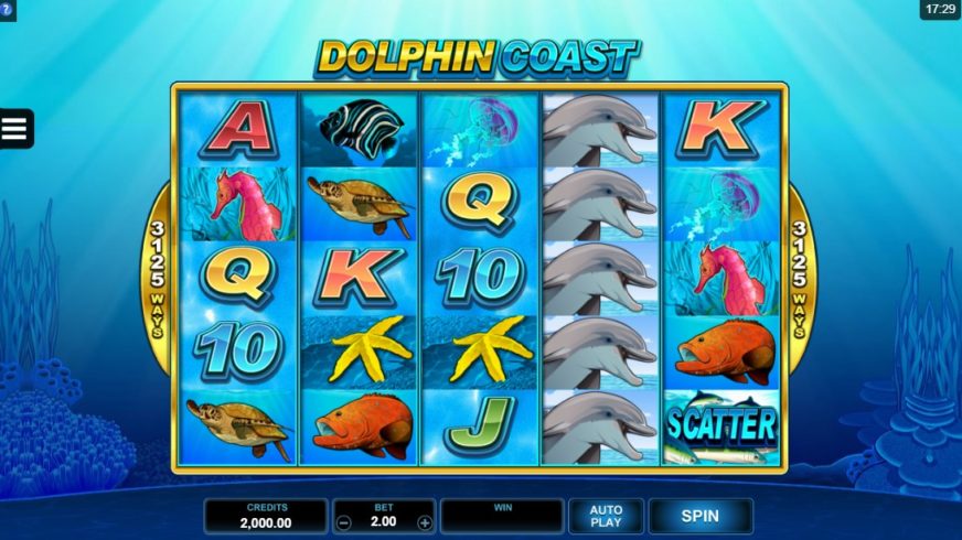 Dolphin Coast slot screen 1