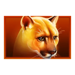 Icon 2 Immortal Ways Buffalo