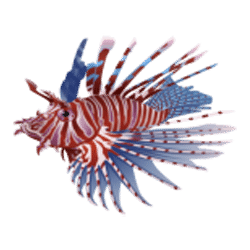 Icon 7 Dolphin Quest