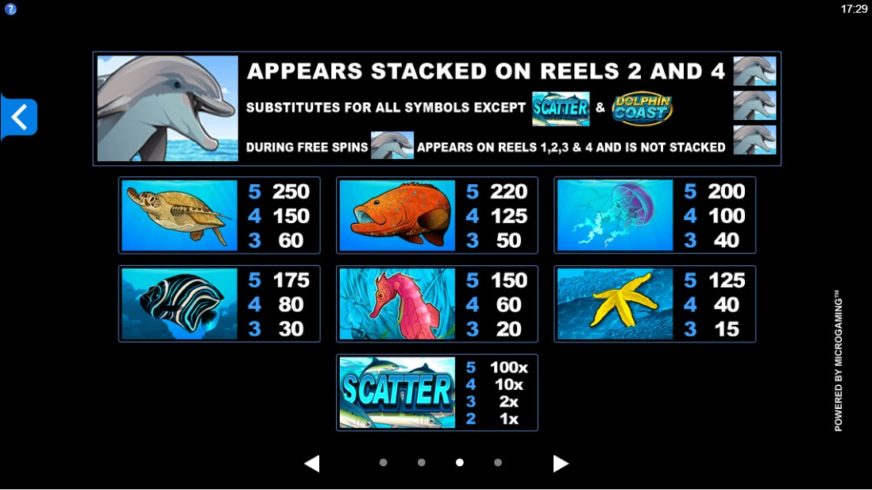 Dolphin Coast slot screen 2