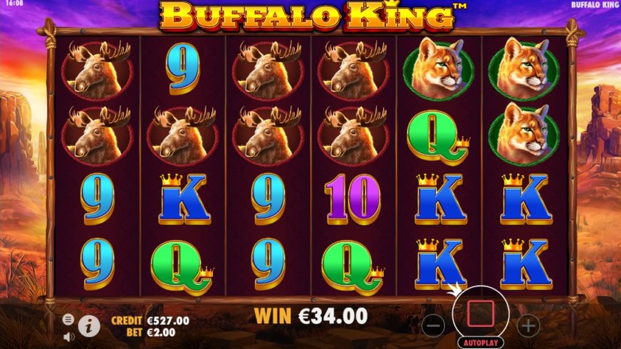Buffalo King slot screen 3