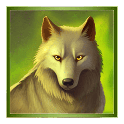 Icon 4 Buffalo’s Sun