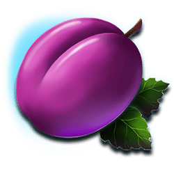 Icon 7 Club Tropicana