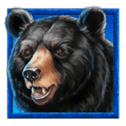 Icon 2 Tiger’s Luck