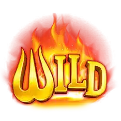 Wild Symbol of Burning Coin 40 Slot