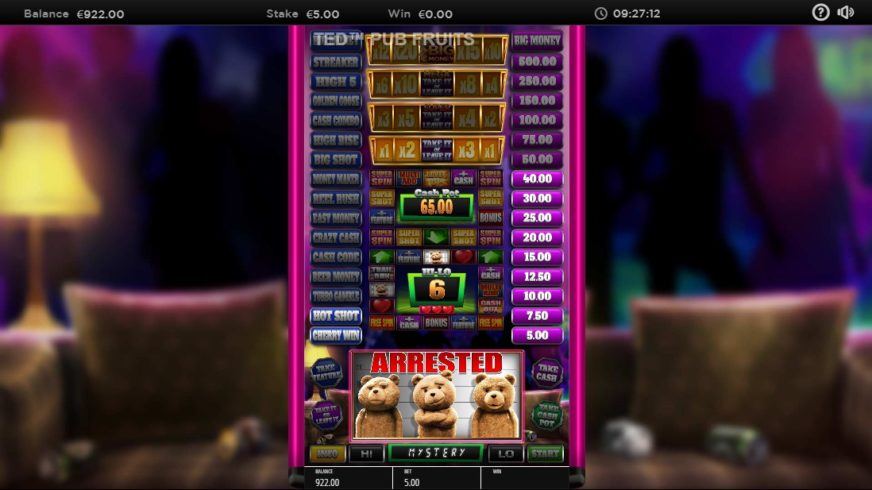 Ted Pub Fruit Series slot screen 4